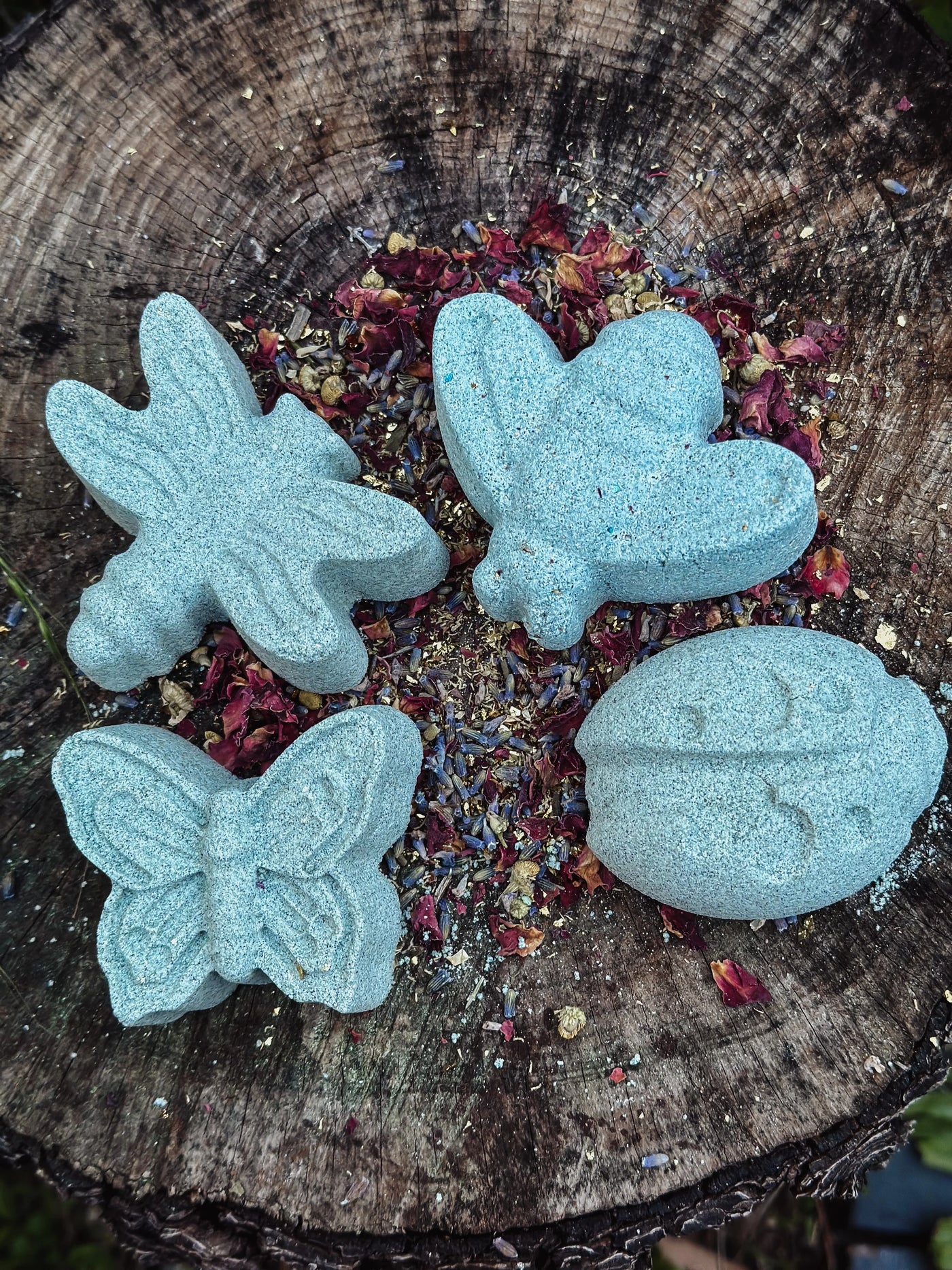 Wild Mountain Child PlayFizz Botanical Bug