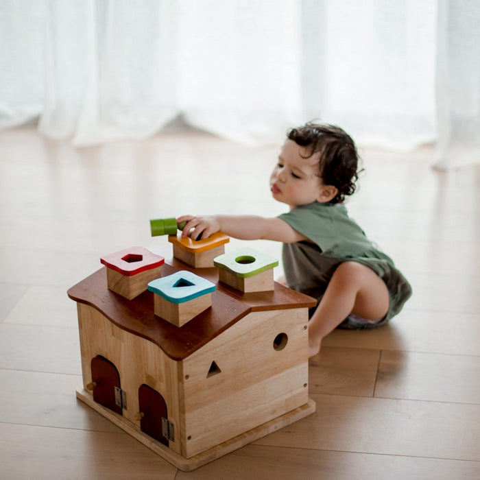 Q Toys Sorting Cottage and Play House