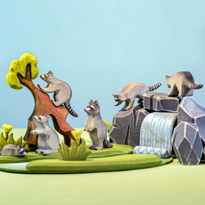 Raccoon Family