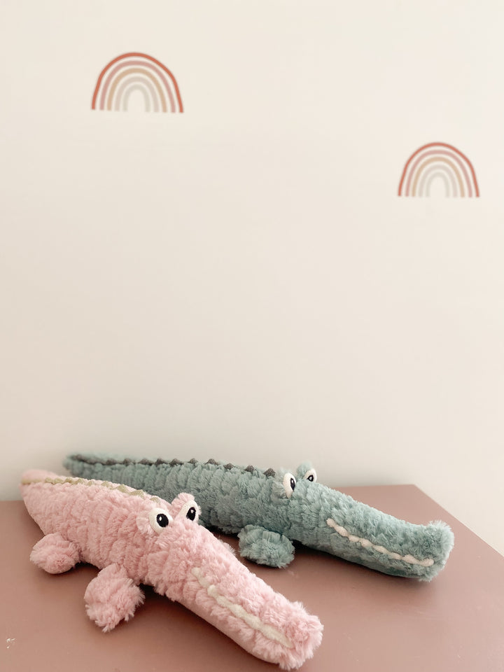 Alligator