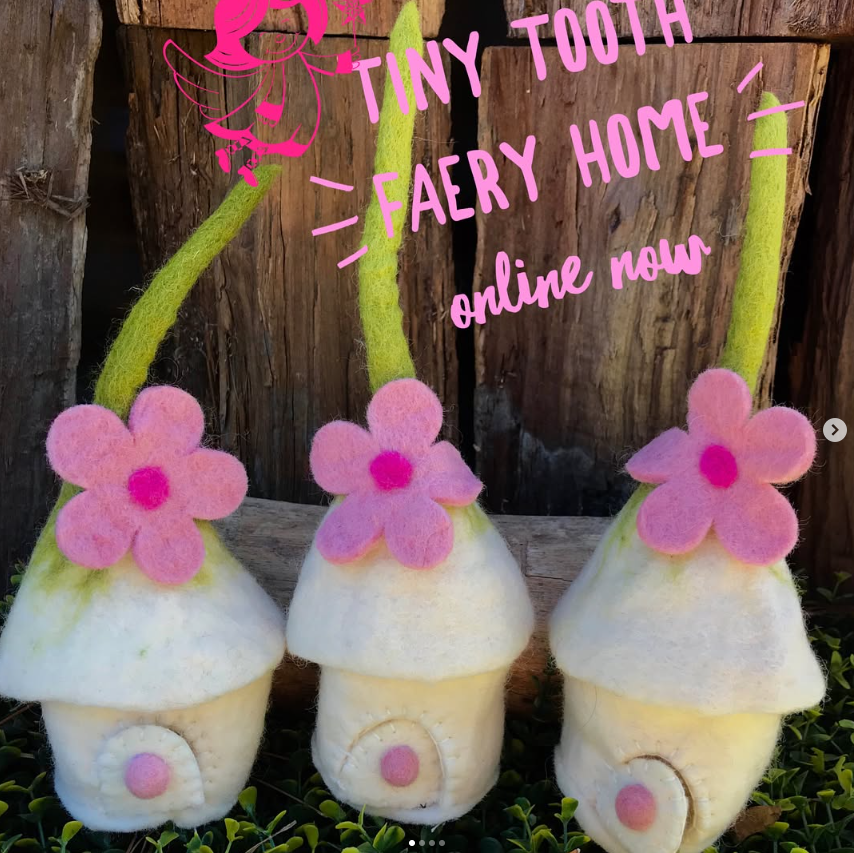 Tiny Tooth Fairy Home