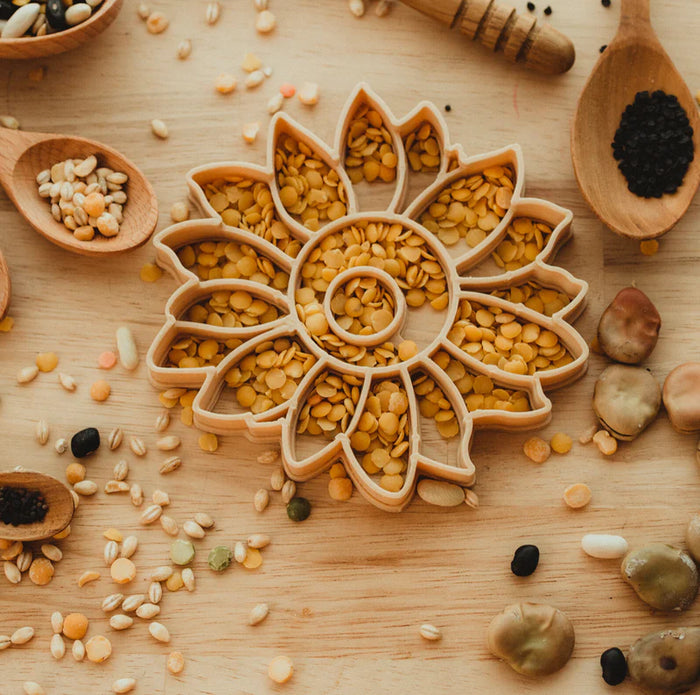 Sunflower Eco Cutter