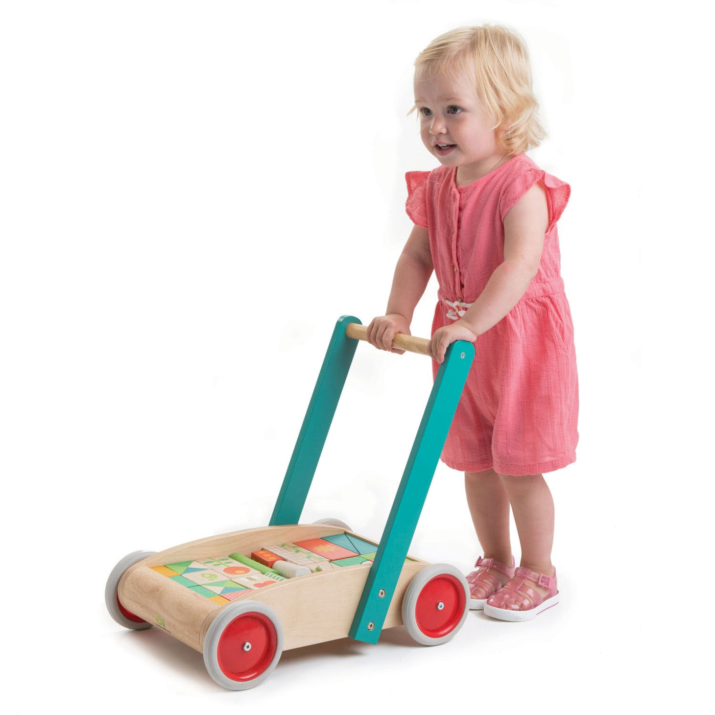 Tender Leaf Baby Block Walker