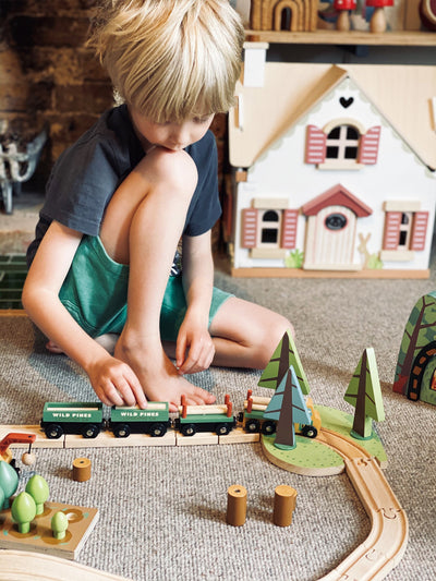 Tender Leaf Wild Pines Train Set