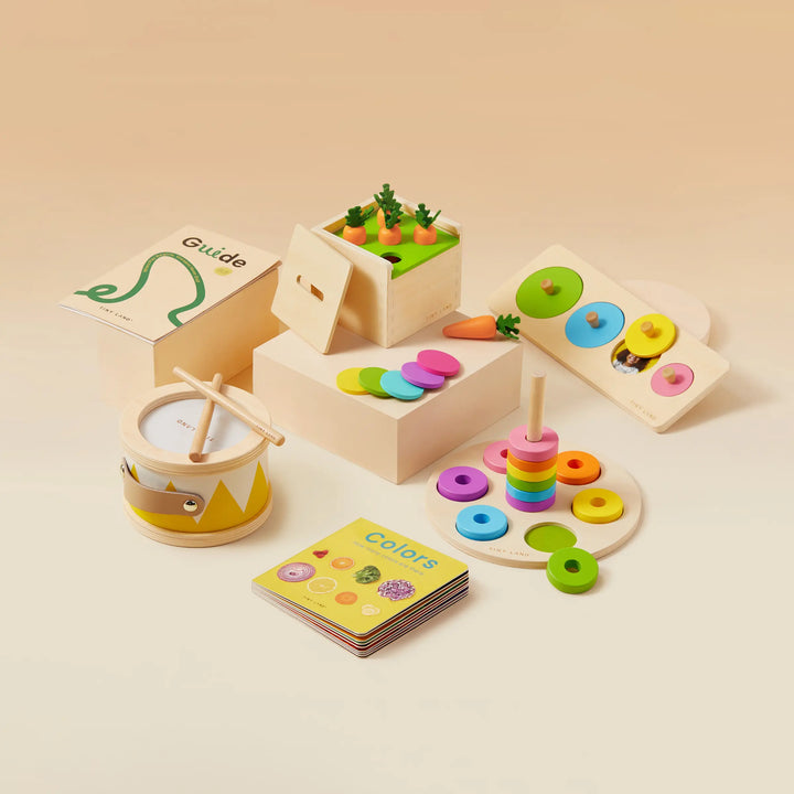 Tiny Land® Montessori Toys for Toddlers (13–15 Months) – Montessori Play Kits