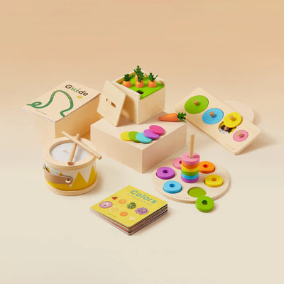 Tiny Land® Montessori Toys for Toddlers (13–15 Months) – Montessori Play Kits