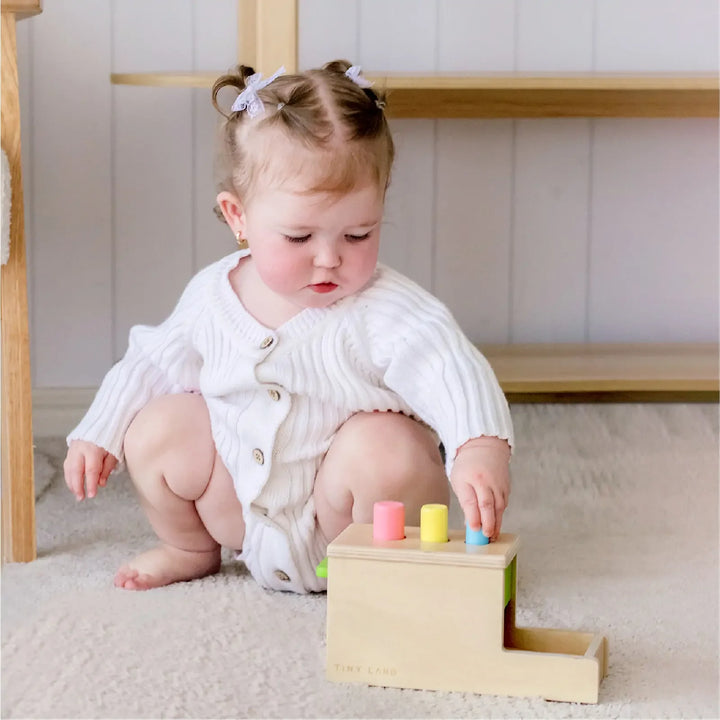 Tiny Land® Montessori Toys for Infants (10–12 Months) – Montessori Learning Toys
