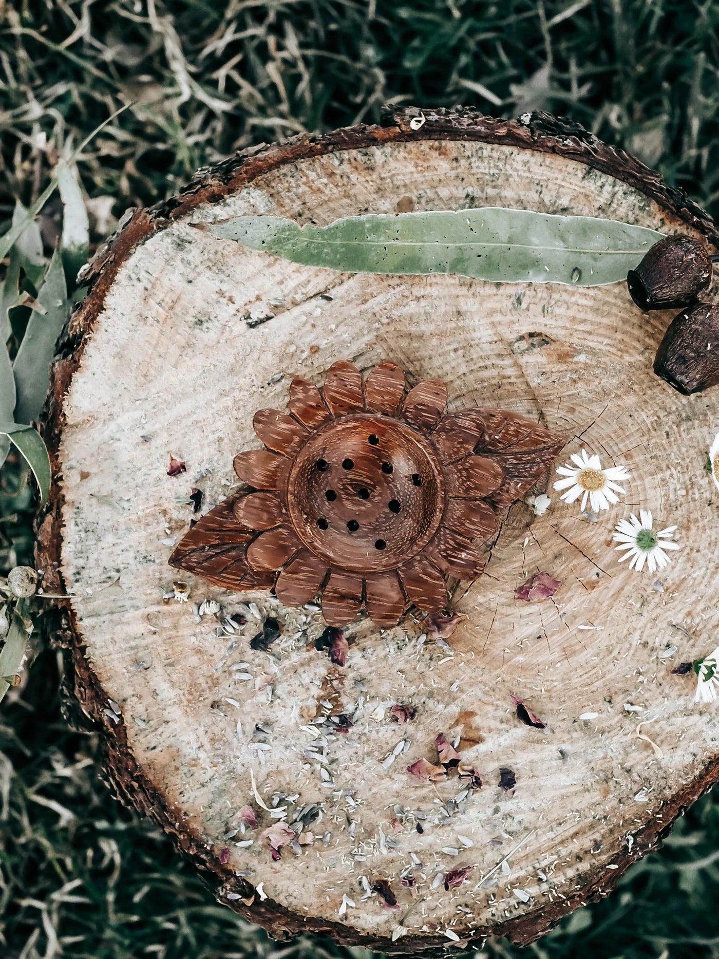 Wild Mountain Child Daisy Strainer