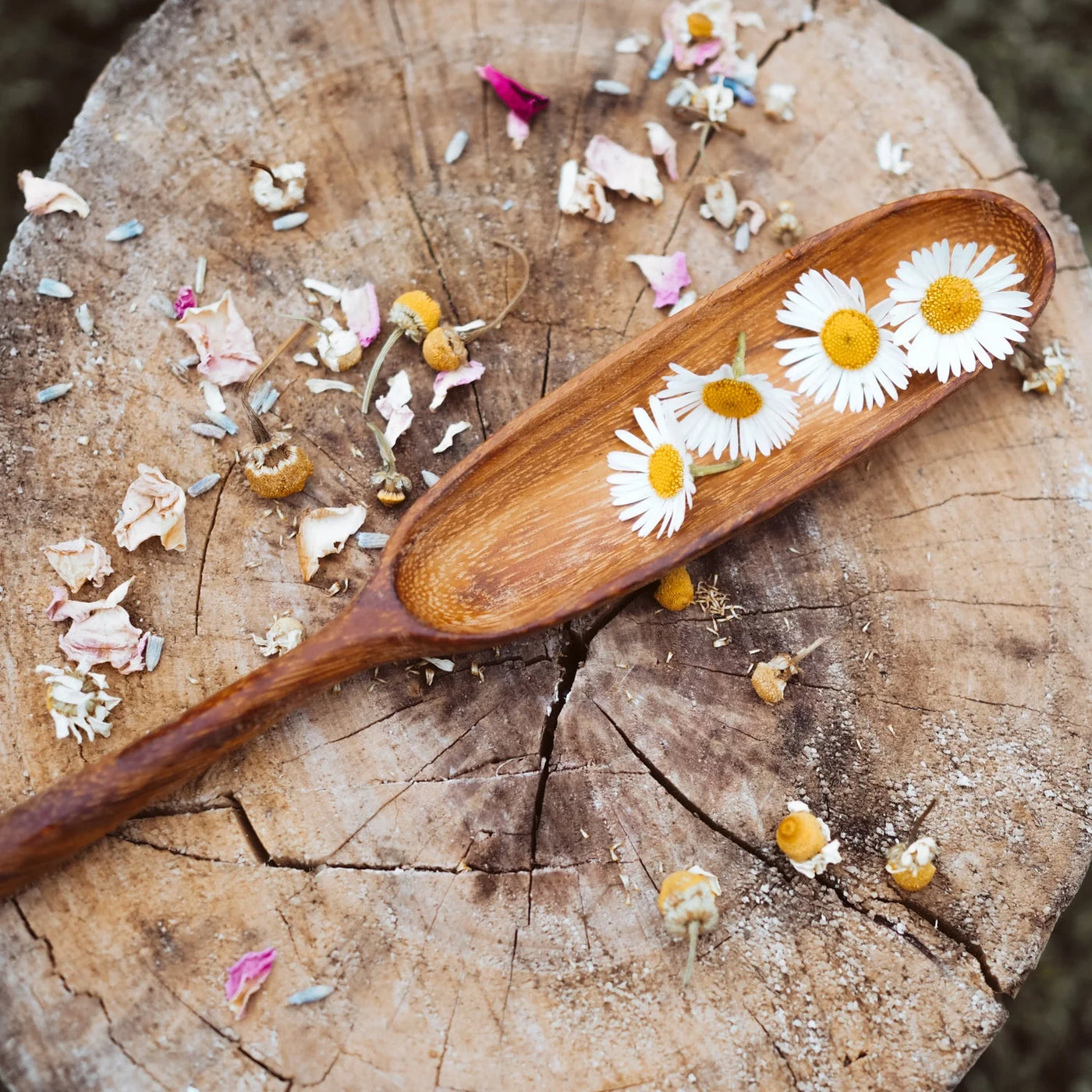 Wild Mountain Child Handcrafted Paddle Spoon