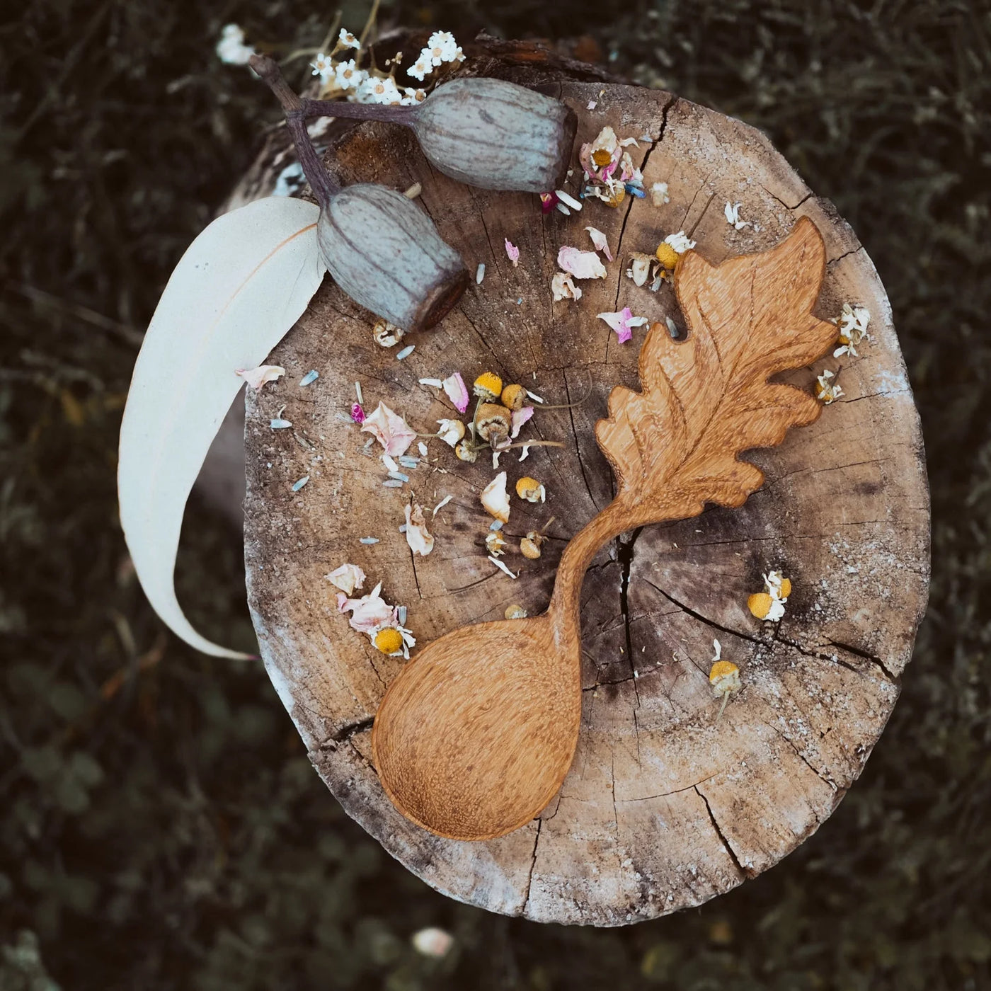 Wild Mountain Child Leaf Spoon