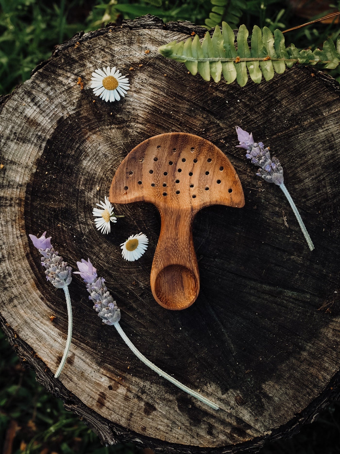 Wild Mountain Child Mushroom Multi Tool