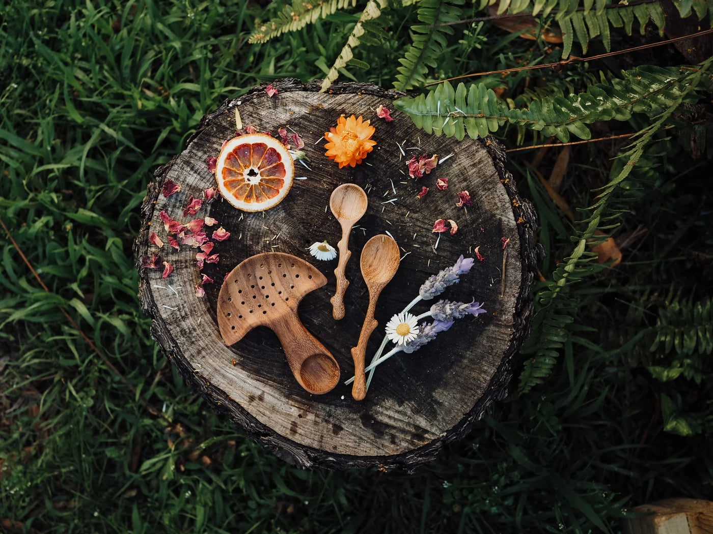 Wild Mountain Child Mushroom Multi Tool