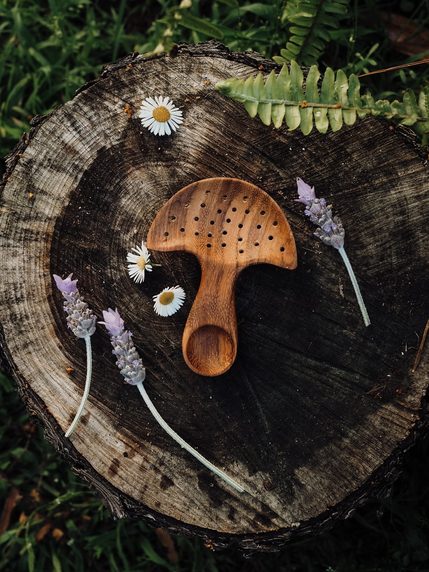 Wild Mountain Child Mushroom Multi Tool