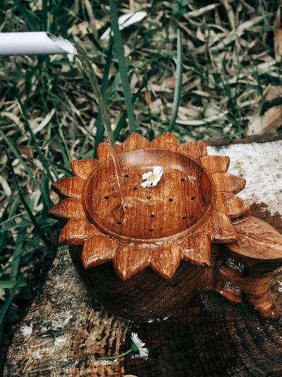 Wild Mountain Child Sun Strainer