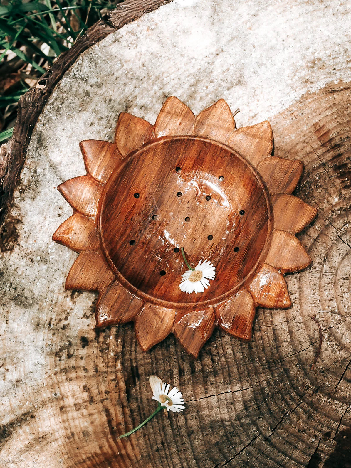 Wild Mountain Child Sun Strainer