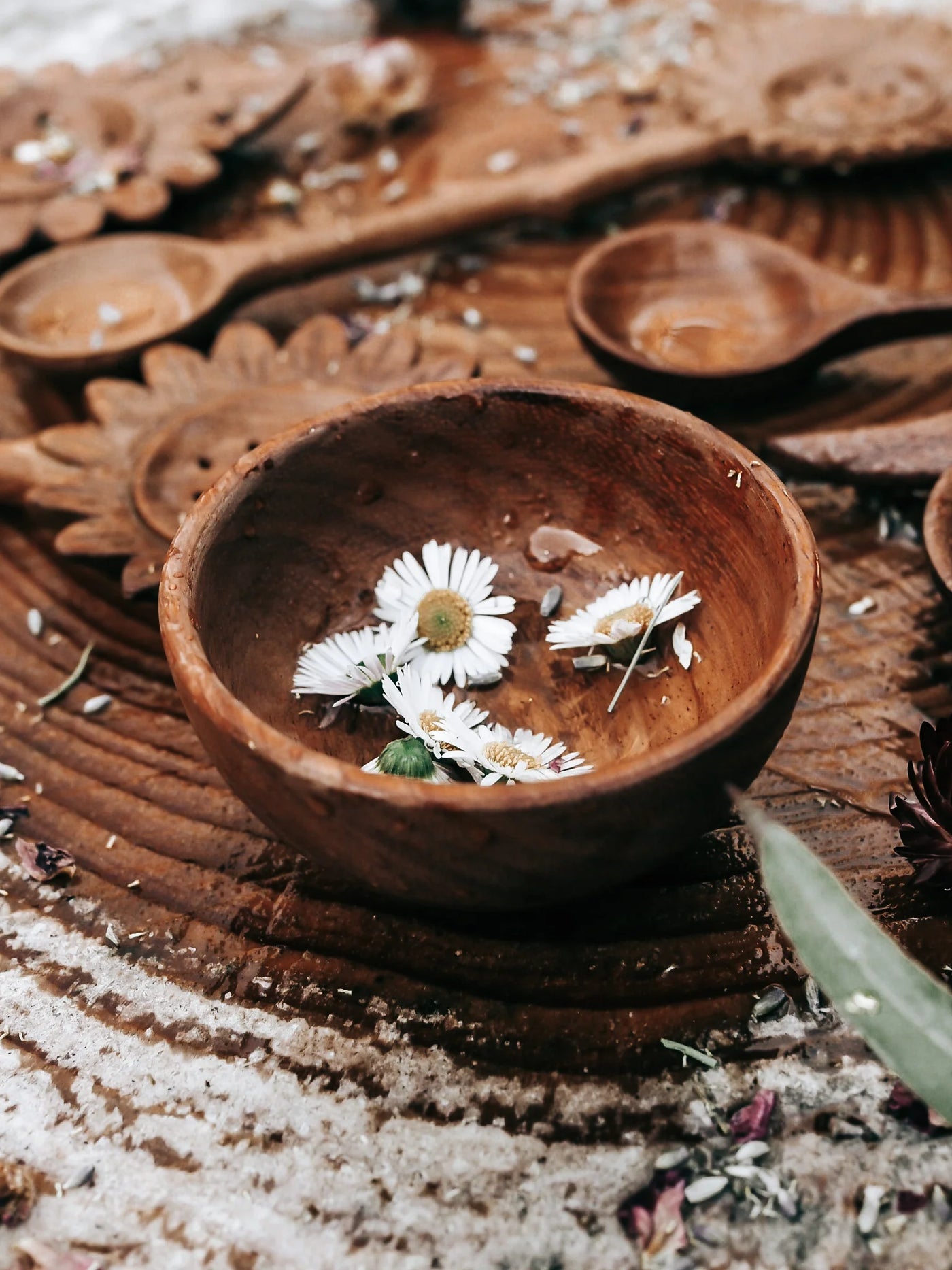 Wild Mountain Child Treasure Bowl
