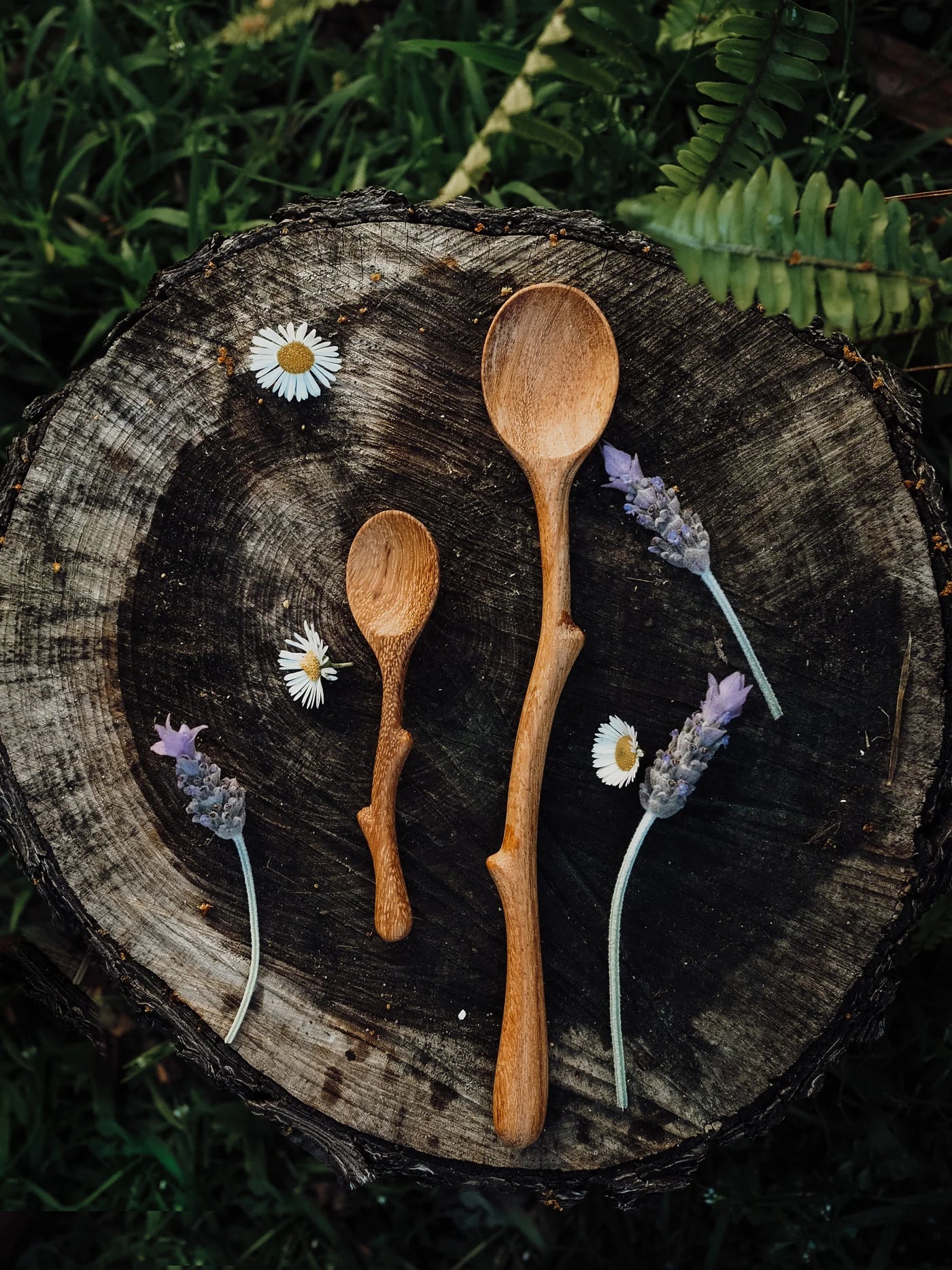 Wild Mountain Child Twiggy (Mini Twig Spoon)