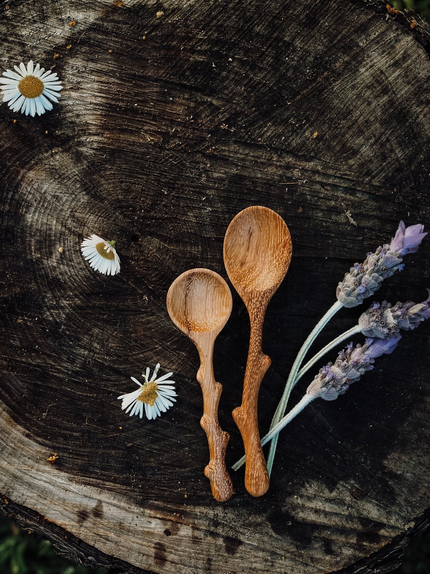 Wild Mountain Child Twiggy (Mini Twig Spoon)