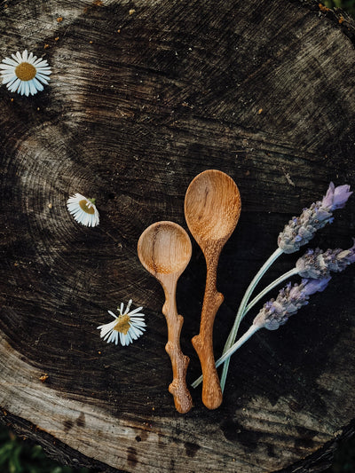 Wild Mountain Child Twiggy (Mini Twig Spoon)