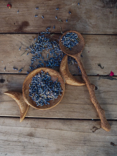 Wild Mountain Child Crescent Moon Strainer