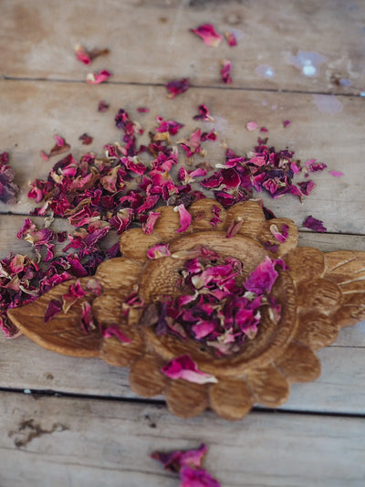 Wild Mountain Child Daisy Strainer