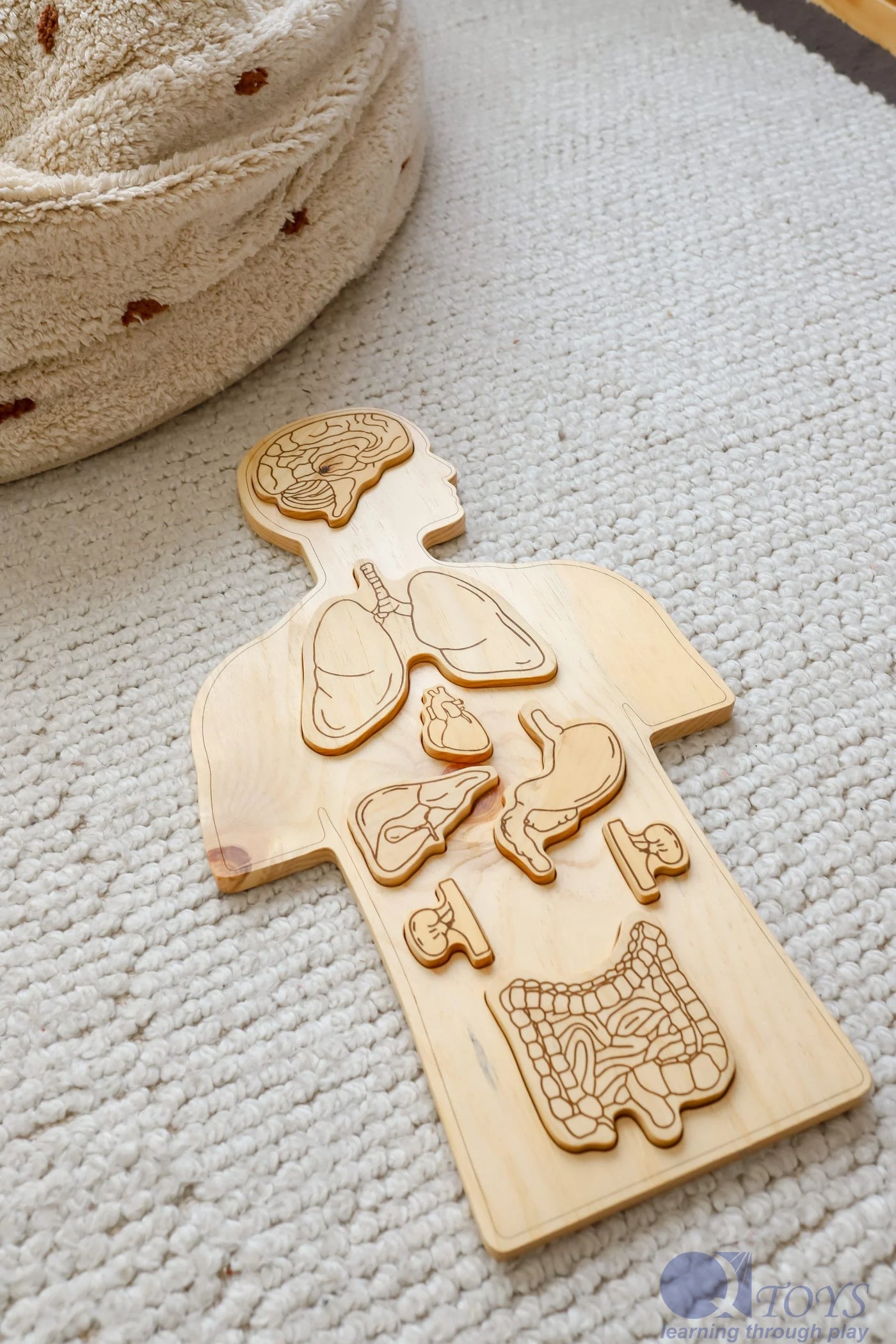 Sale Q Toys Wooden Anatomy Puzzle