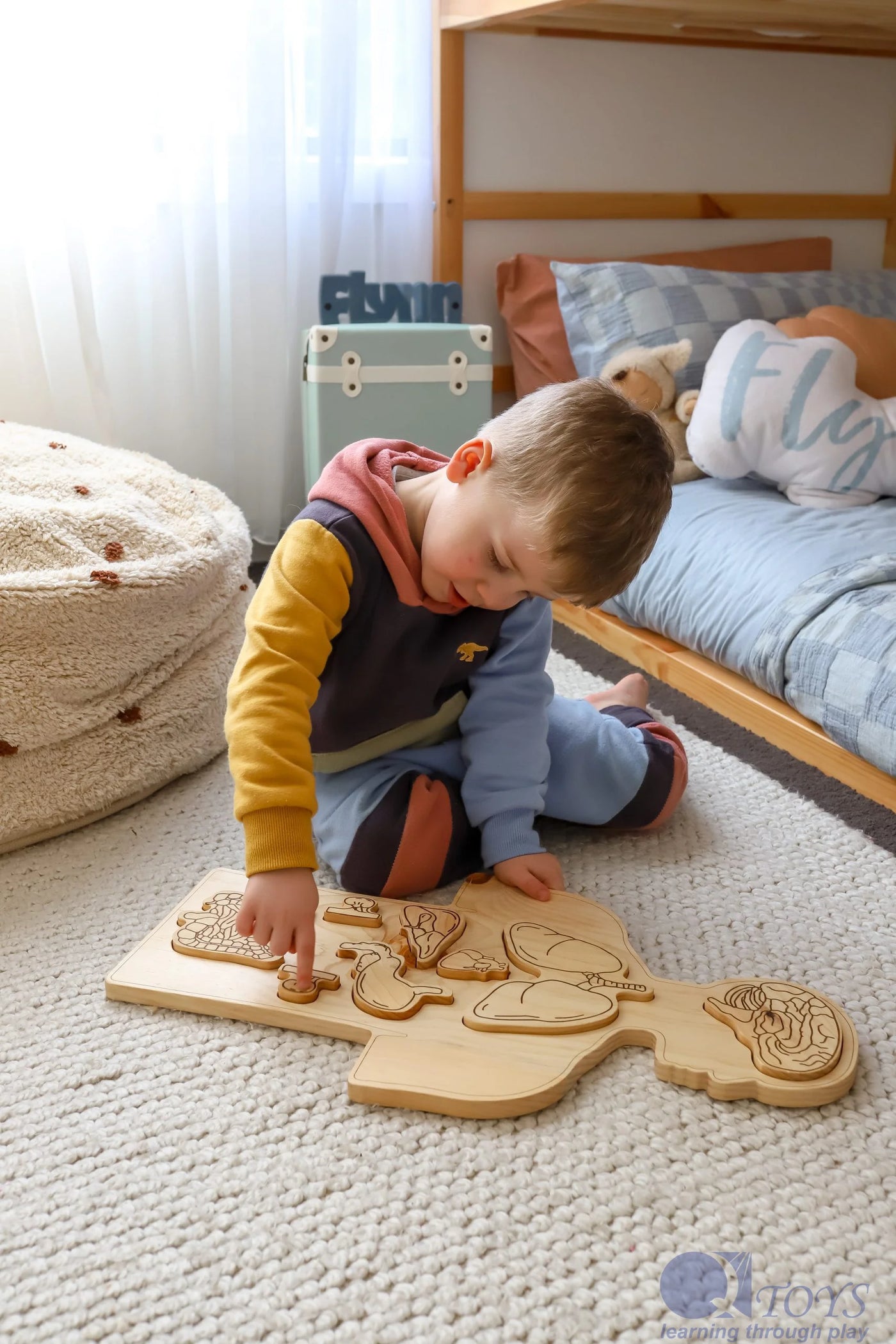 Sale Q Toys Wooden Anatomy Puzzle