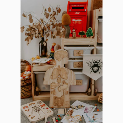 Sale Q Toys Wooden Anatomy Puzzle