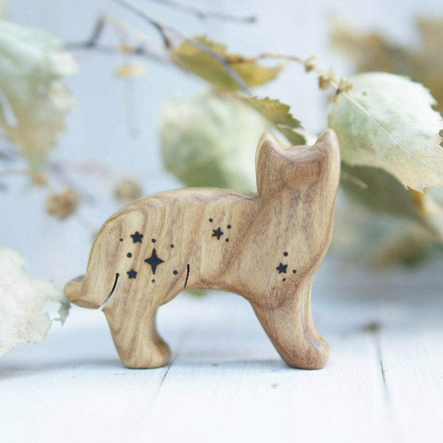 Wooden Cat, Star