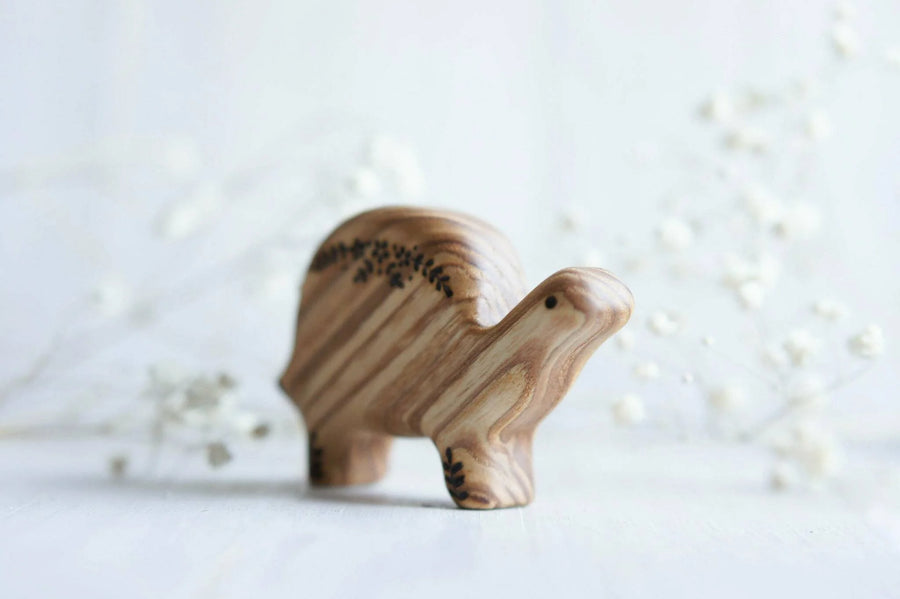 Wooden Turtle