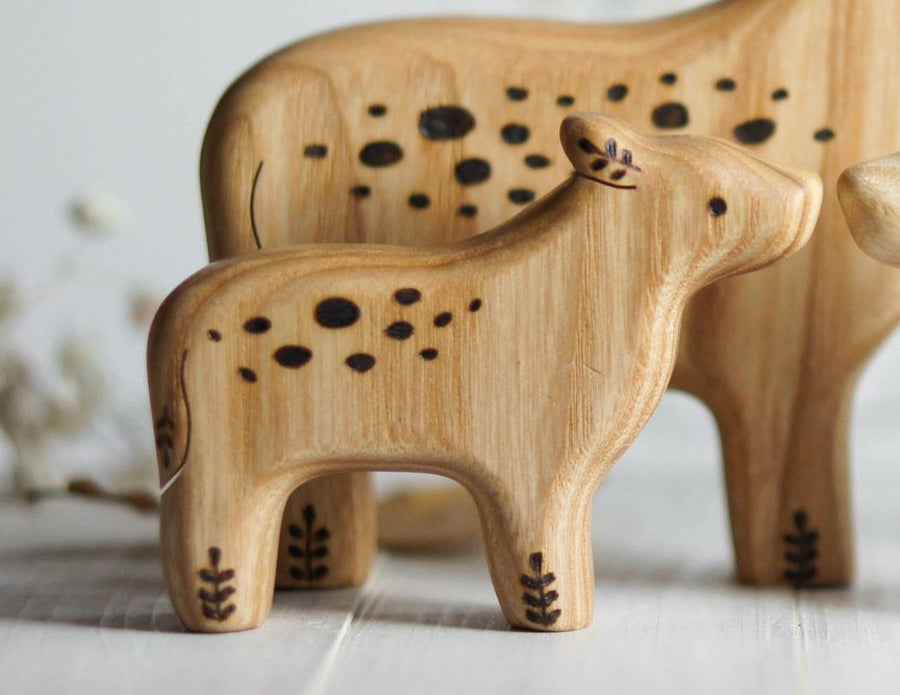 Wooden Calf, Spotted
