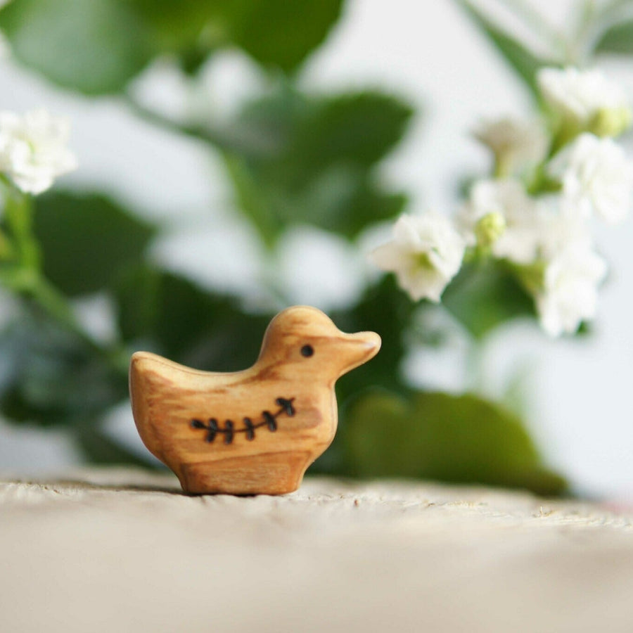 Wooden Duckling