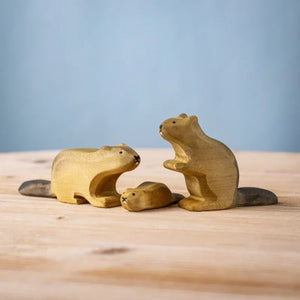 Beaver Family