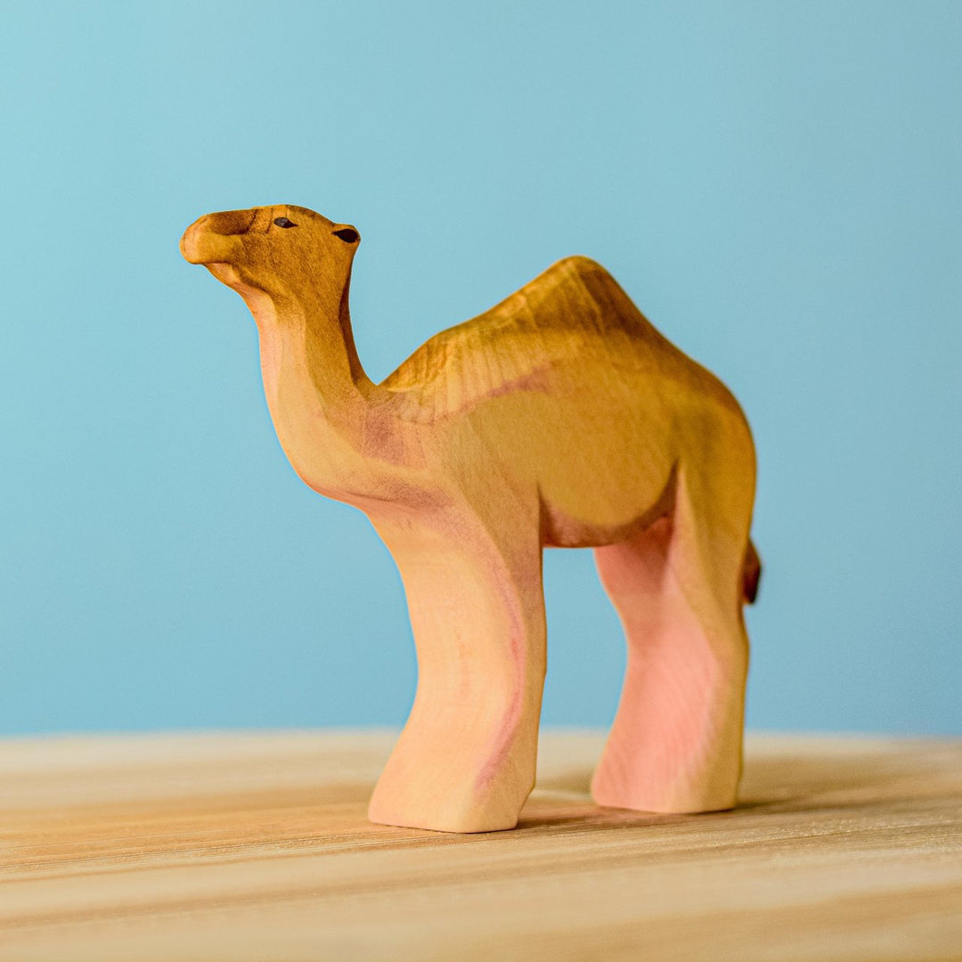 Bumbu Camel with Saddle