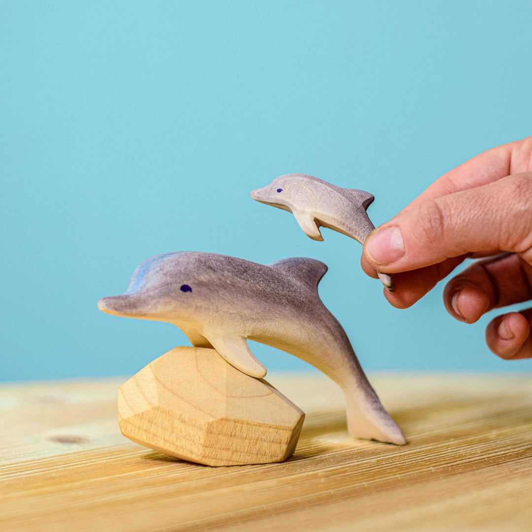 Bumbu Dolphin