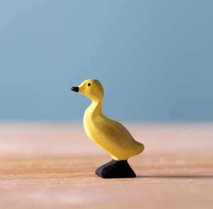 Duckling