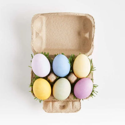 Eco-Kids Egg Coloring and Grass Growing Kit