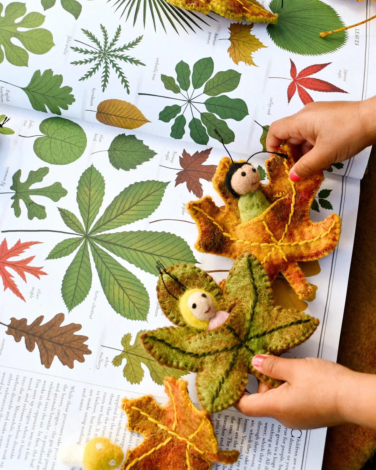 Pre-Order Felt Chestnut Leaf Baby (Ships in late January)