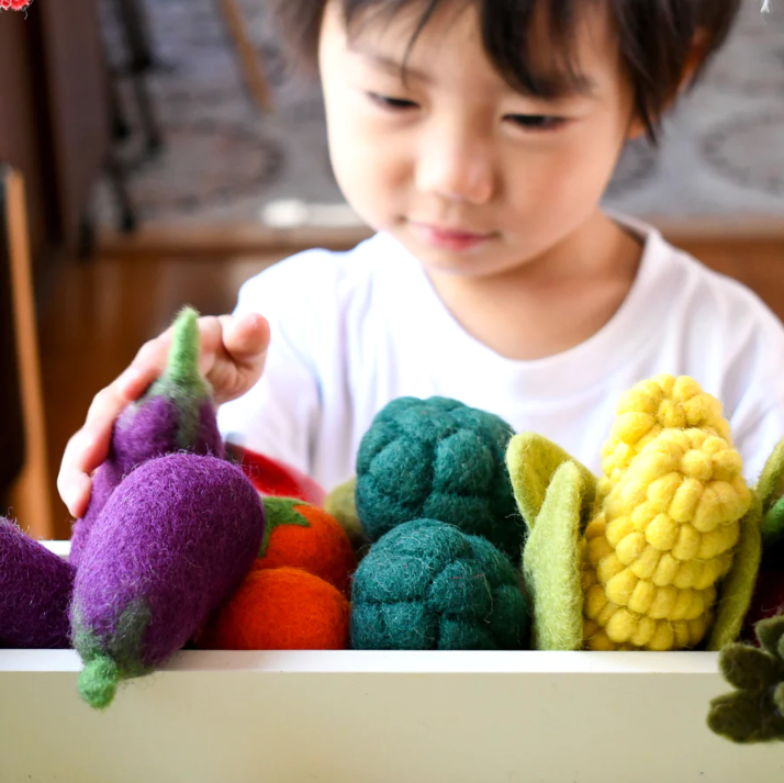 Felt Fruits and Vegetables, Set B, 11 pcs