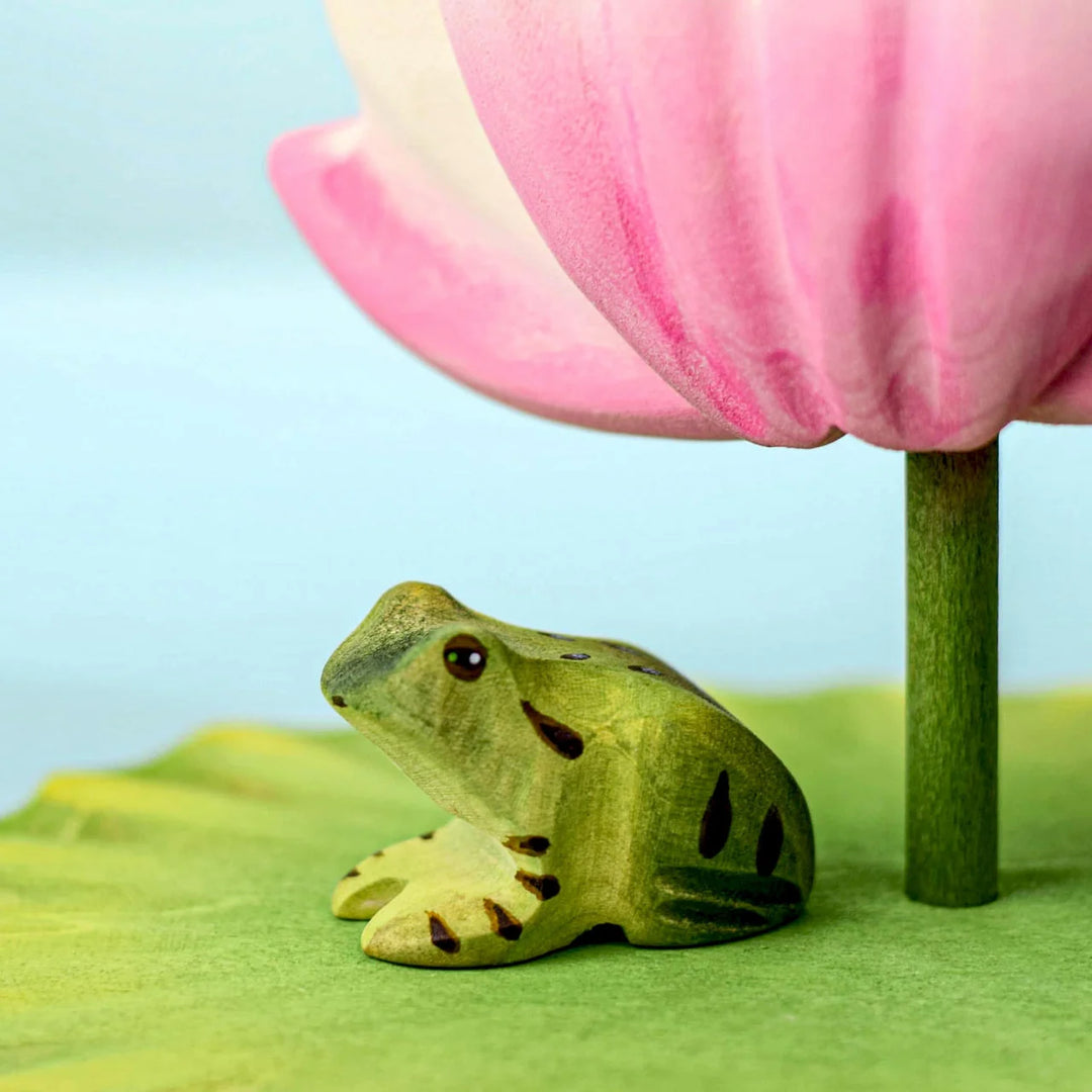 Bumbu Frog