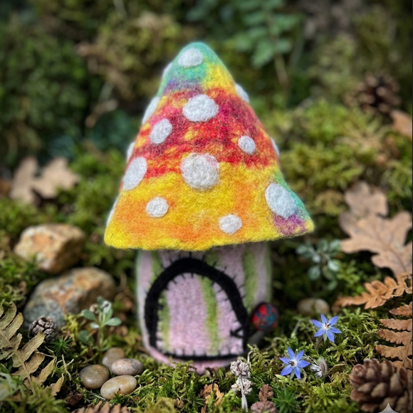 Funky Rainbow Toadstool