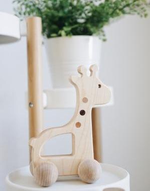 Bannor Giraffe Push Toy