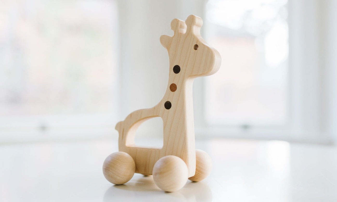 Bannor Giraffe Push Toy