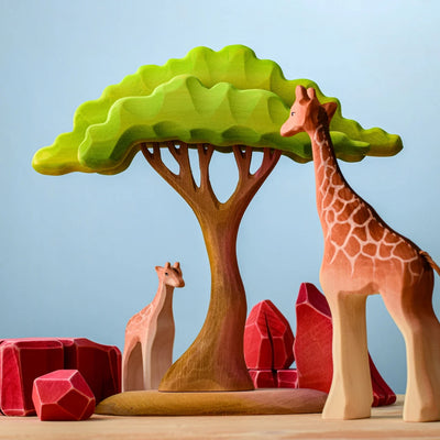 Bumbu Large Acacia Tree