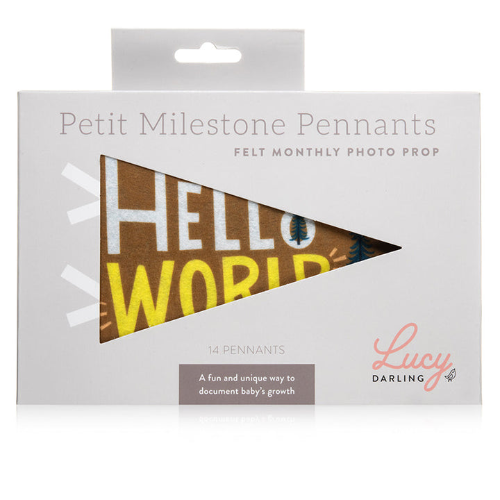 Lucy Darling Little Camper Petit Milestone Pennants