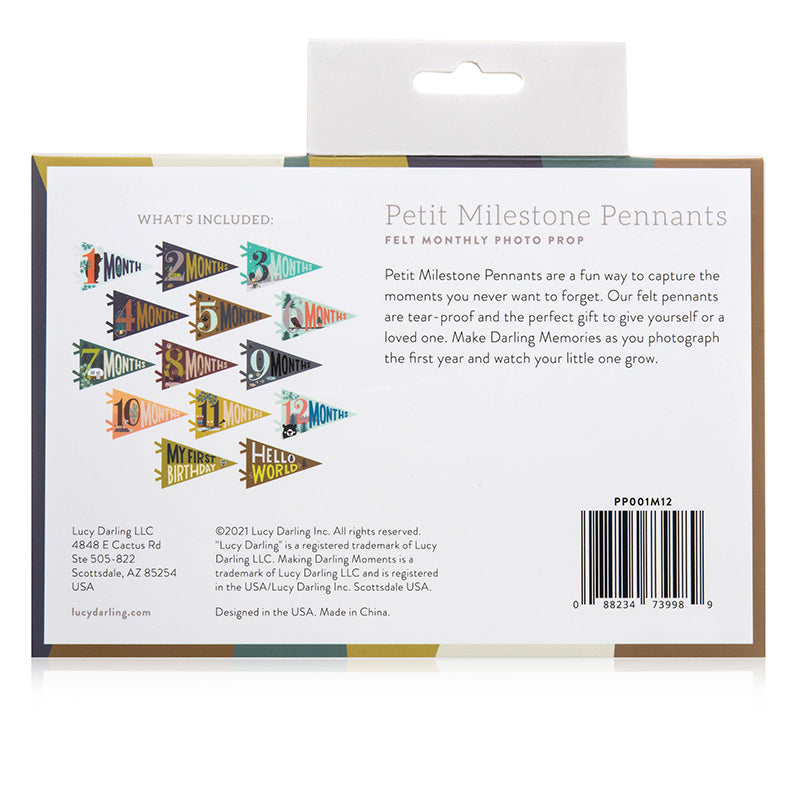 Lucy Darling Little Camper Petit Milestone Pennants