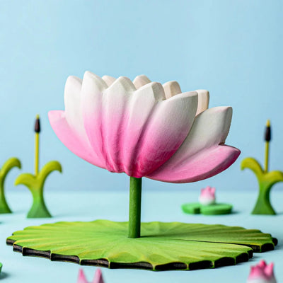 Pre-Order Bumbu Lotus Flower (Ships in July)