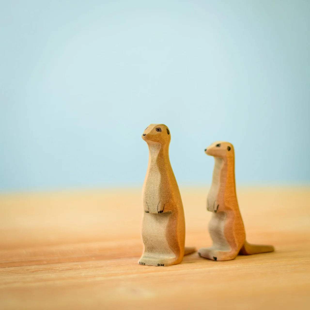 Bumbu Meerkat Family