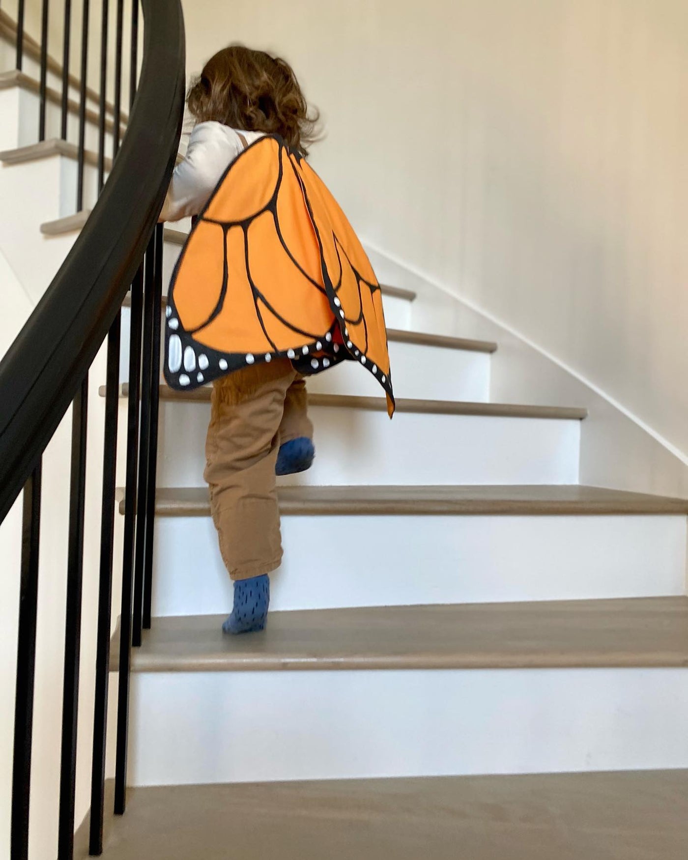 Jack Be Nimble Orange Monarch Butterfly Costume Wings