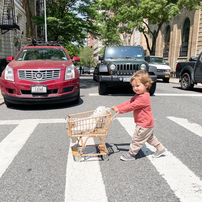 Poppie Shopper